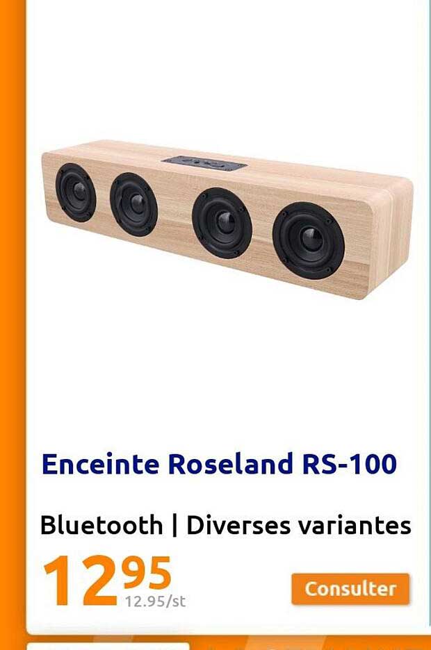 enceinte roseland rs-100