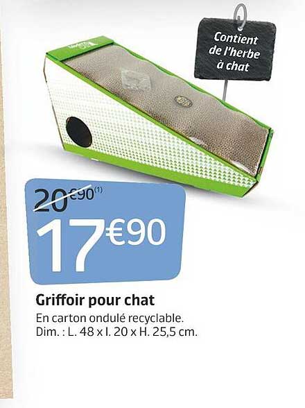 Griffoir Pour Chat