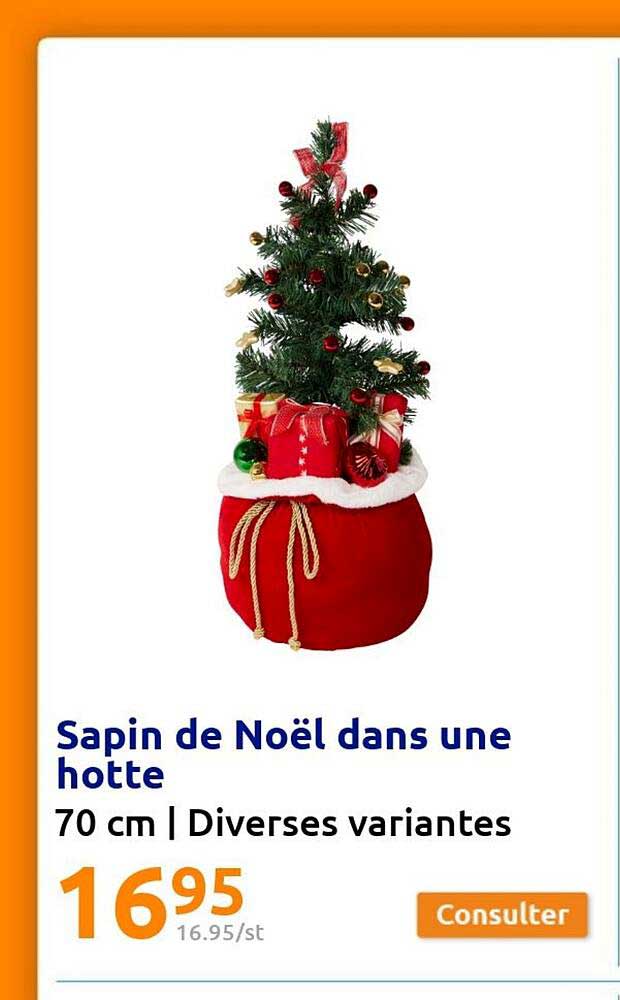 sapin de noël dans une hotte