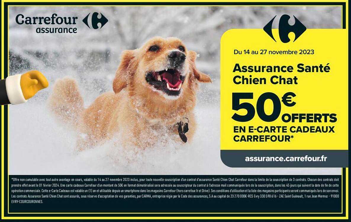 assurance santé chien chat