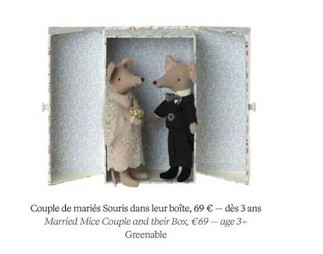 couple de mariés souris dans leur boîte