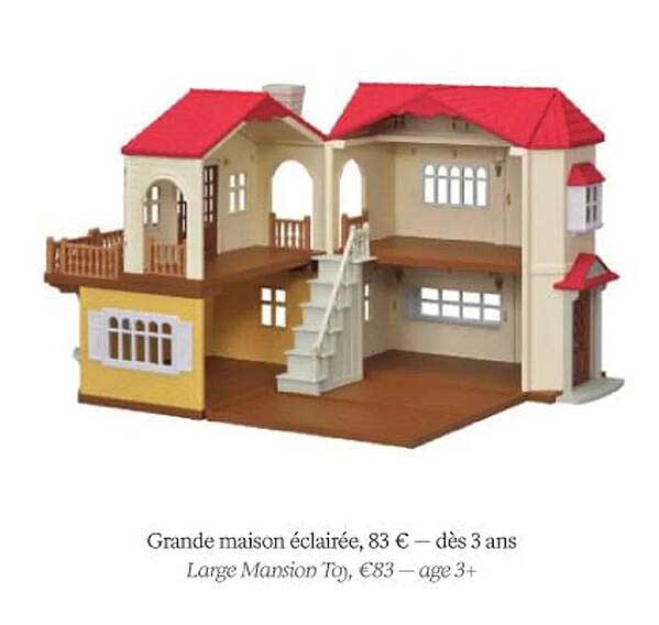 grande maison éclairée