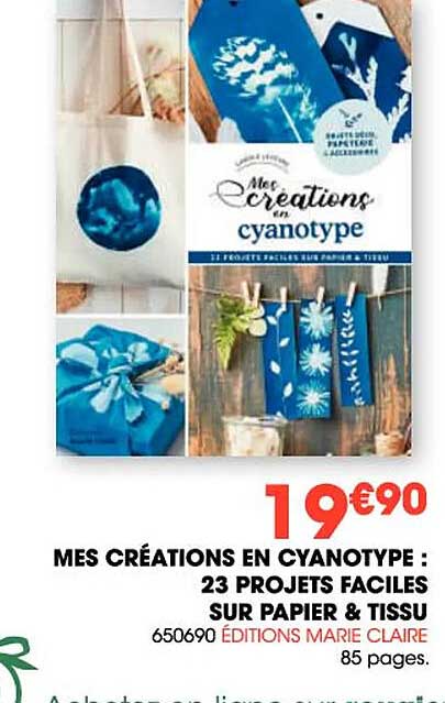 mes créations en cyanotype : 23 projets faciles sur papier & tissue