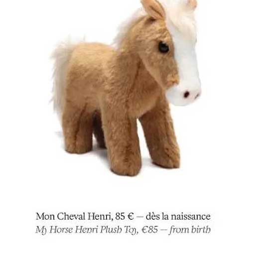 mon cheval henri