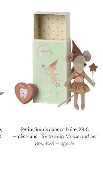 petite souris dans sa boîte