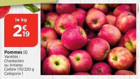 pommes chanteclerc ou antares