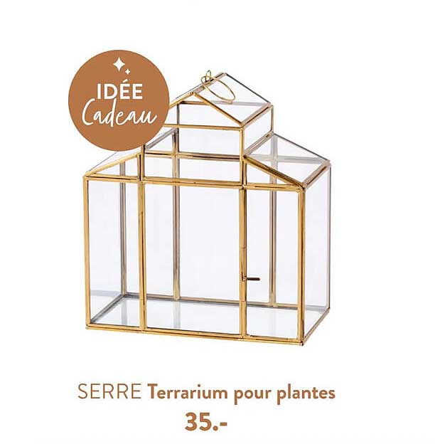 Serre Terrarium Pour Plantes