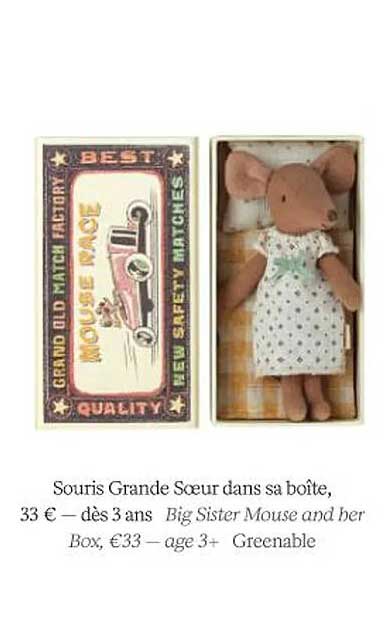 souris grande sœur dans sa boîte