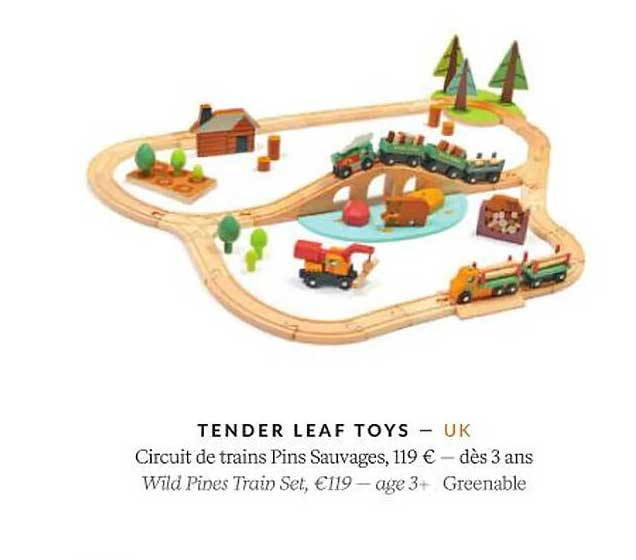 tender leaf toys circuit de trains pins sauvages