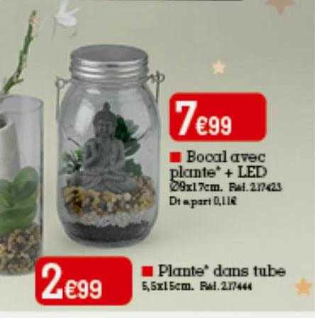 bocal avec plante + led, plante dans tube