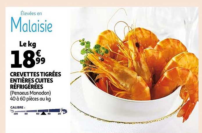 crevettes tigrées entières cuites réfrigérées