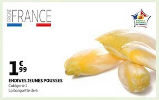 endives jeunes pousses