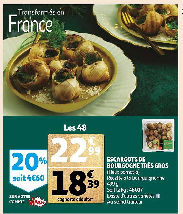 escargots de bourgogne très gros