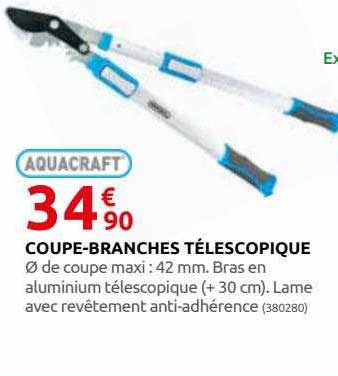 coupe-branches télescopique aquacraft