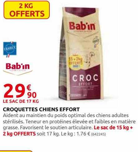 croquettes chiens effort bab'in