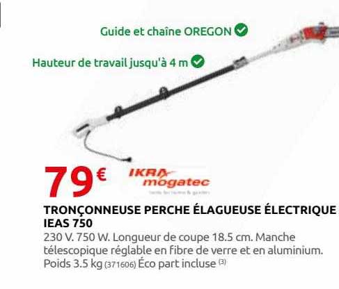 tronçonneuse perche élagueuse électriqe ieas 750 ikra mogatec