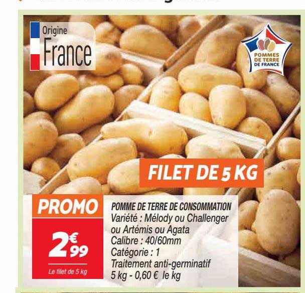Pomme De Terre De Consommation Mélody Ou Challenger Ou Artémis Ou Agata