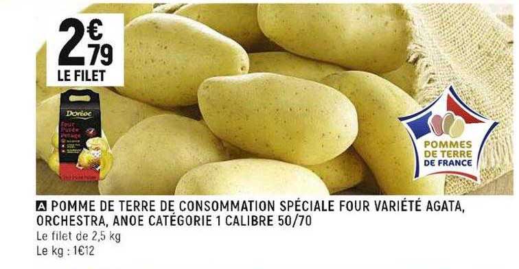 pomme de terre de consommation spéciale four variété agata, orchestra, anoe