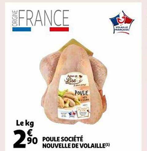 poule société nouvelle de volaille