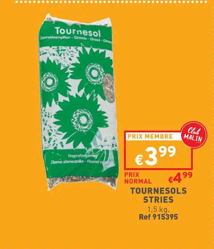 Tournesols Stries