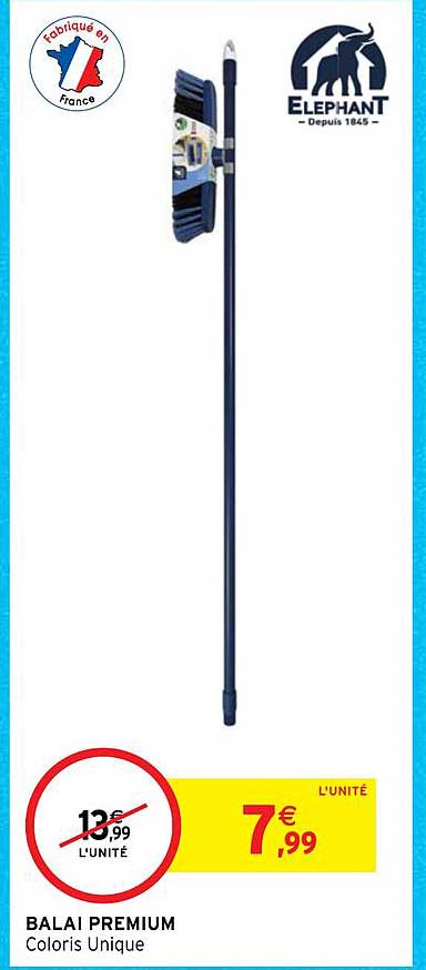 Balai Premium éléphant