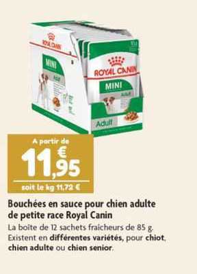 bouchées en sauce pour chien adulte de petite race royal canin