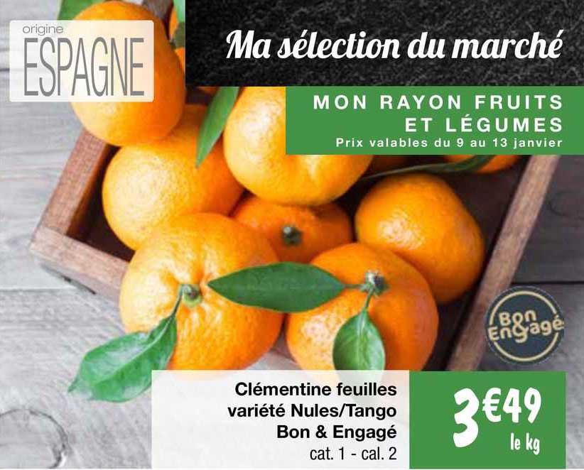 clémentine feuilles variété nules/tango bon & engagé