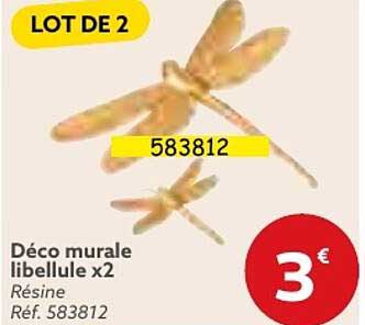 déco murale libellule x2