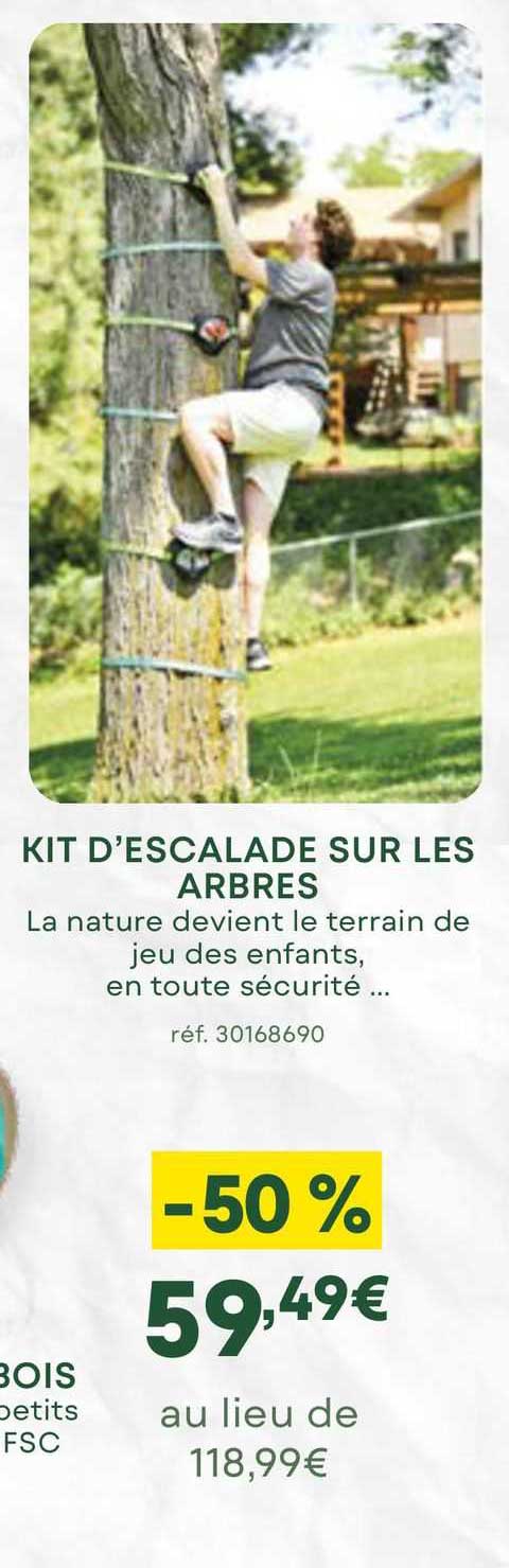 kit d'escalade sur les arbres