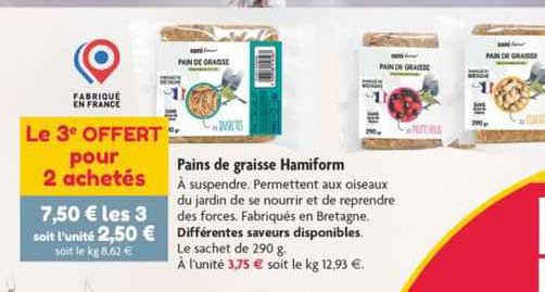 Pains De Graisse Hamiform