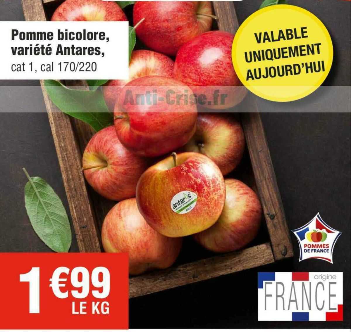 pomme bicolore, variété antares