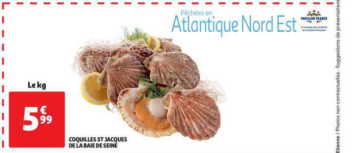 coquilles st jacques de la baie de seine