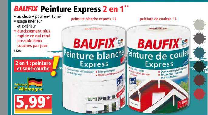Peinture Express 2 En 1 Baufix