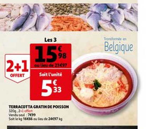 Terracotta Gratin De Poisson