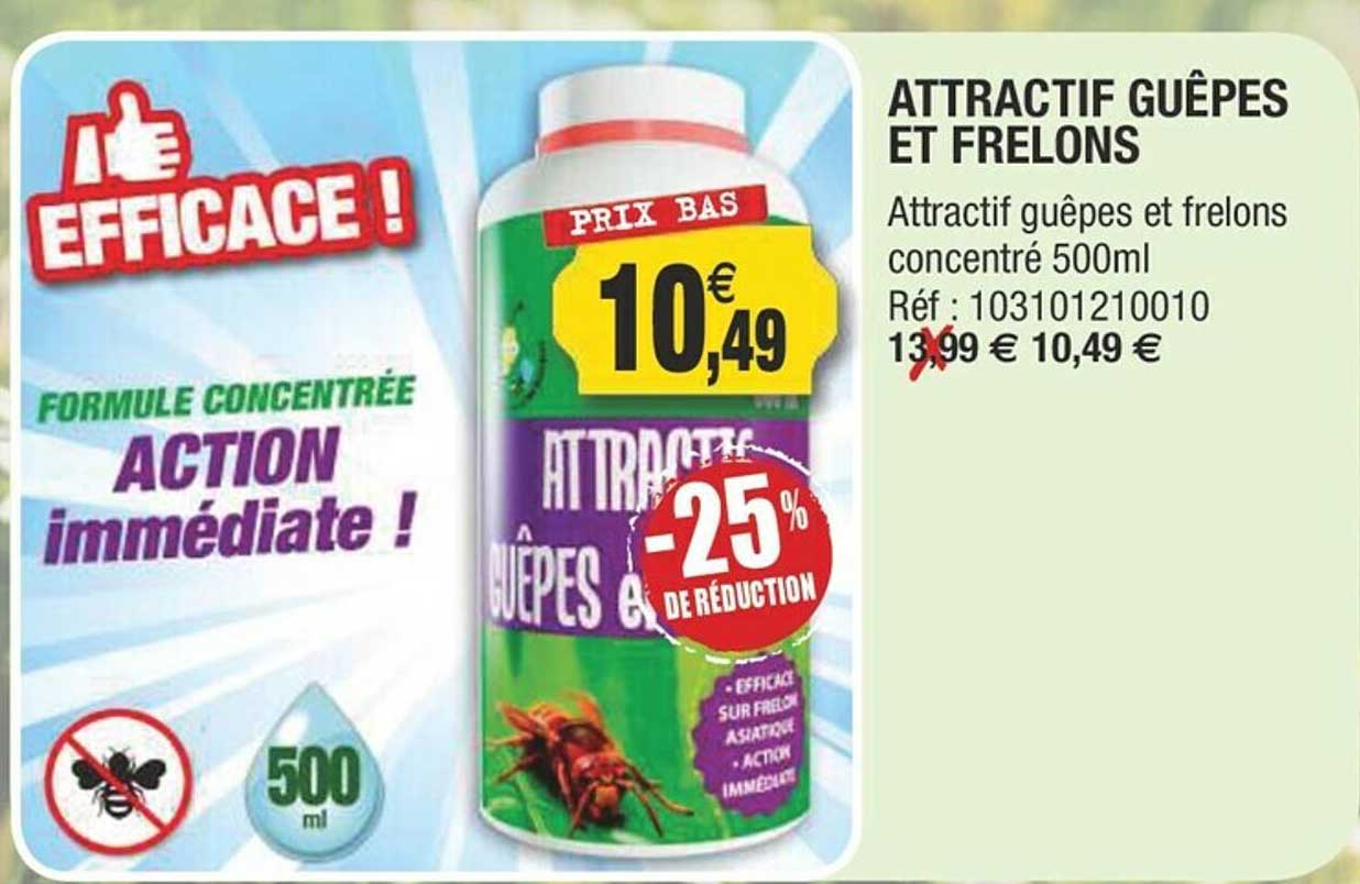 attractif guêpes et frelons