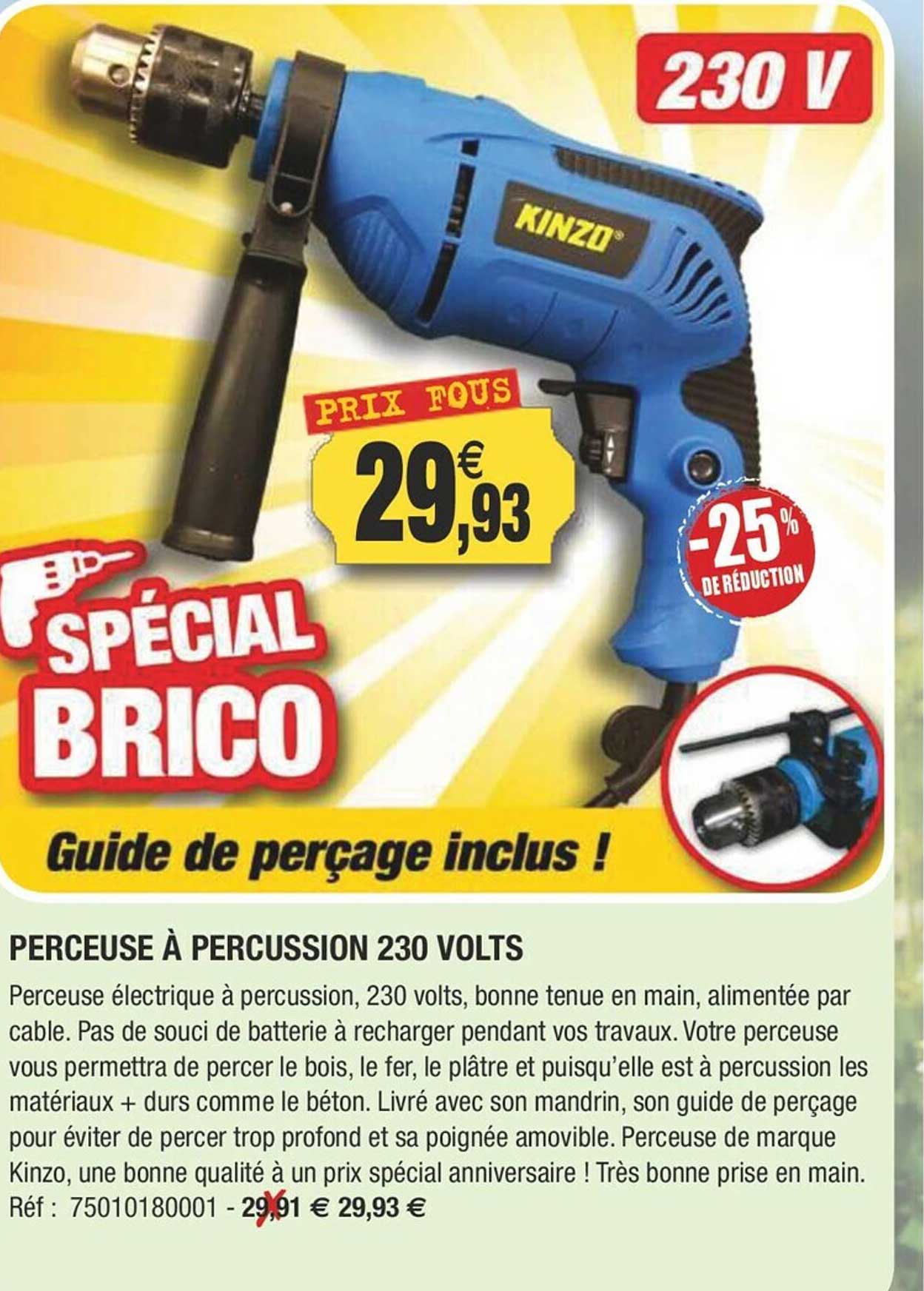 Perceuse à Percussion 230 Volts