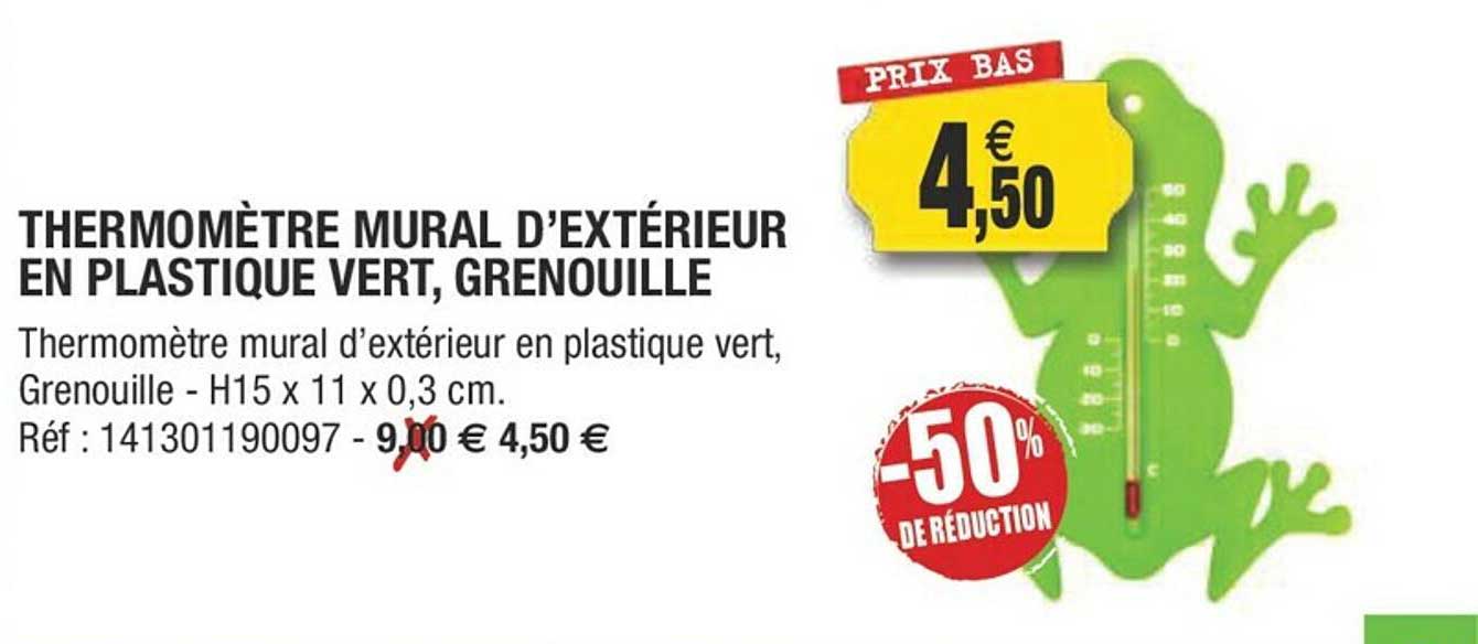 thermomètre mural d'extérieur en plastique vert, grenouille