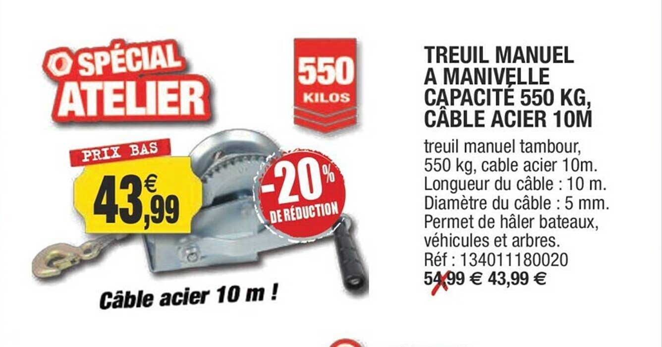treuil manuel à manivelle capacité 550 kg, câble acier 10m