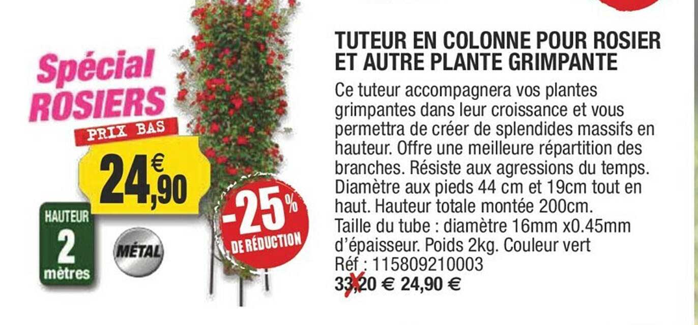 tuteur en colonne pour rosier et autres plante grimpante