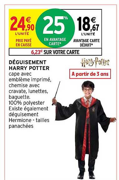 déguisement harry potter