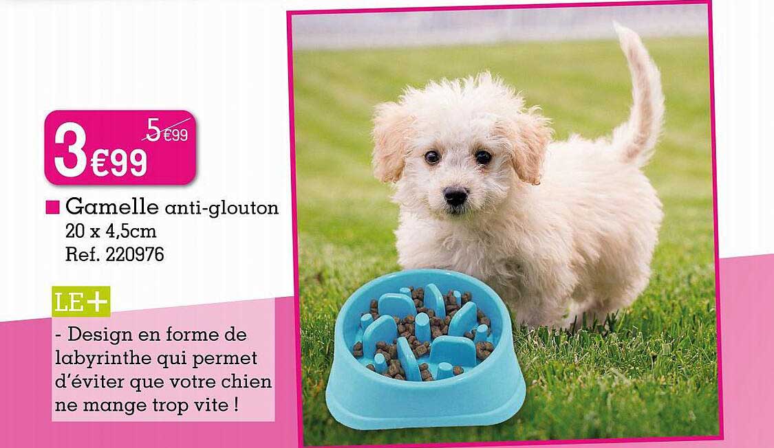 gamelle anti-glouton