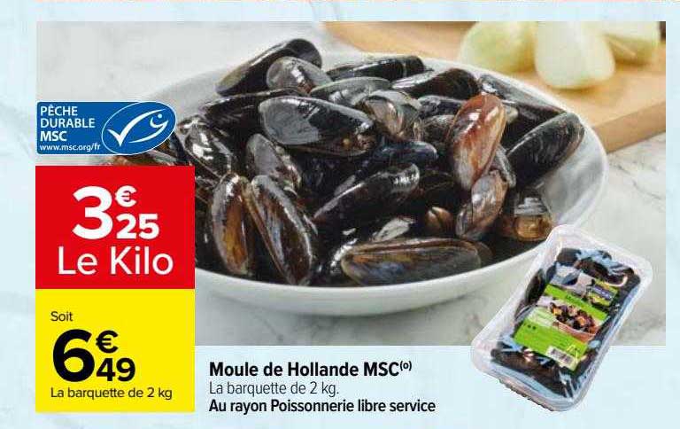 moule de holland msc