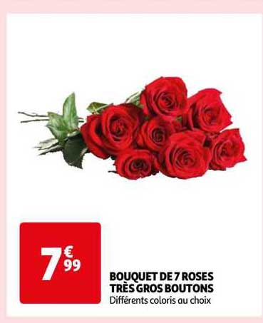 bouquet de 7 roses très gros boutons