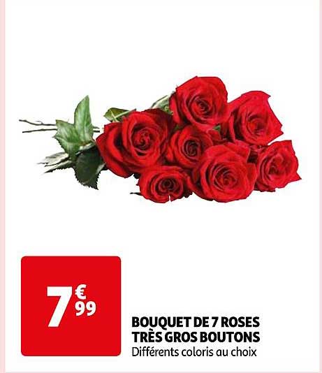 bouquet de 7 roses très gros boutons