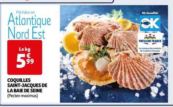 coquilles saint-jacques de la baie de seine