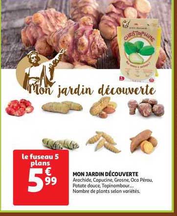 mon jardin découverte