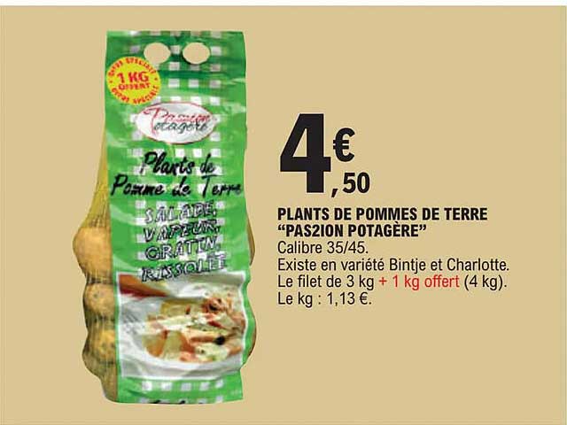plants de pommes de terre "pas2ion potagère"