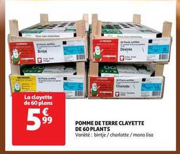 pomme de terre clayette de 60 plants
