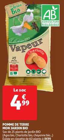 pomme de terre mon jardin bio