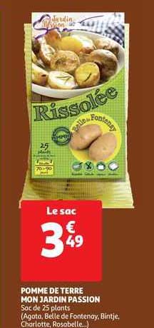 pomme de terre mon jardin passion